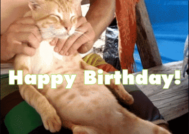 Funny Birthday Wishes For Friend - Happy Birthday Wishes, Memes, SMS & Greeting eCard Images